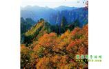 長沙往返張家界、天子山、寶峰湖/黃龍洞三日游