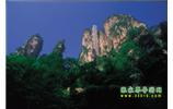 網(wǎng)絡(luò)熱門純玩游：張家界、天子山、袁家界、楊家界 自助三日游