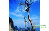 湘西之旅：張家界、天子山、寶峰湖/黃龍洞、鳳凰古城、猛洞河漂流、天門山六日游