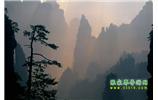張家界國家森林公園、寶峰湖/黃龍洞、鳳凰古城、三峽八日游