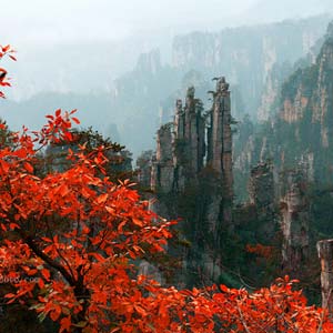 休閑自駕E線:張家界、袁家界、天子山、寶峰湖、鳳凰古城、沱江泛舟四晚五日游